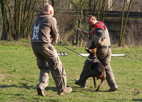 Chocolade Lehmannsfelsen - training 26. 3. 2007